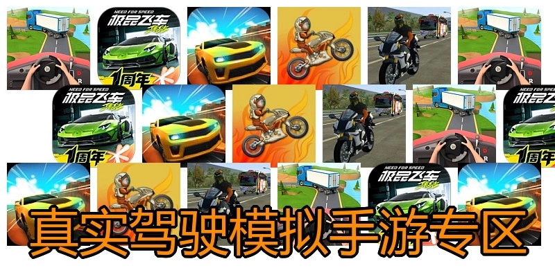 真实驾驶模拟手游专区