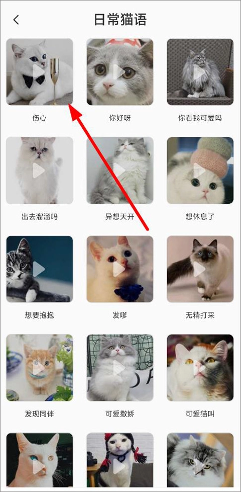 猫语翻译机免费版下载