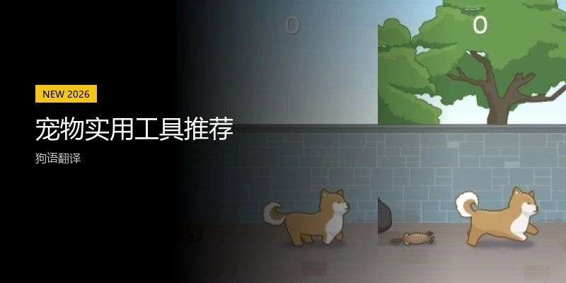宠物实用工具推荐