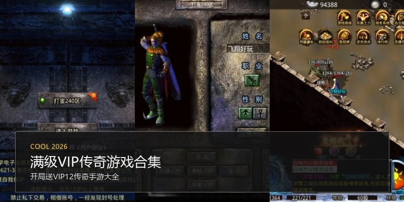 满级VIP传奇游戏合集