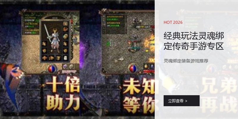 经典玩法灵魂绑定传奇手游专区