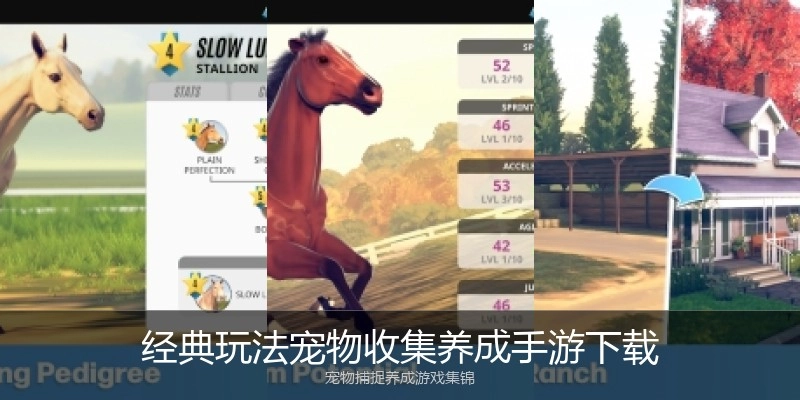 经典玩法宠物收集养成手游下载