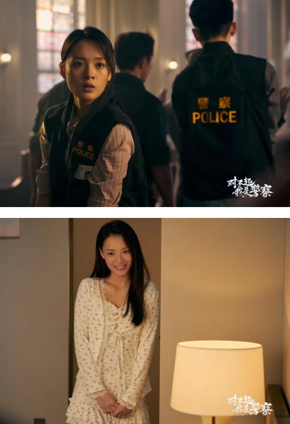 对不起我是警察游戏