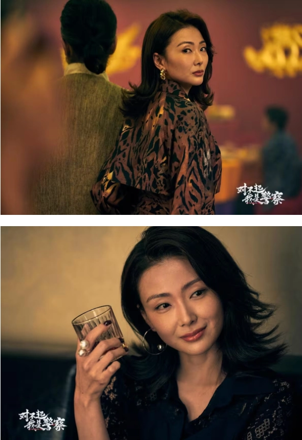 对不起我是警察游戏