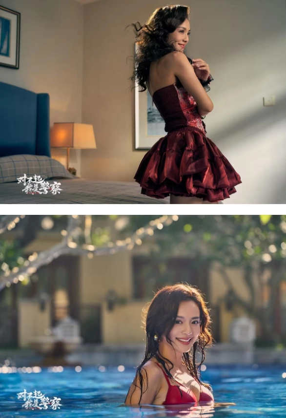 对不起我是警察游戏