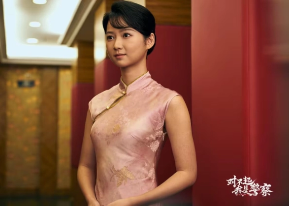 对不起我是警察游戏