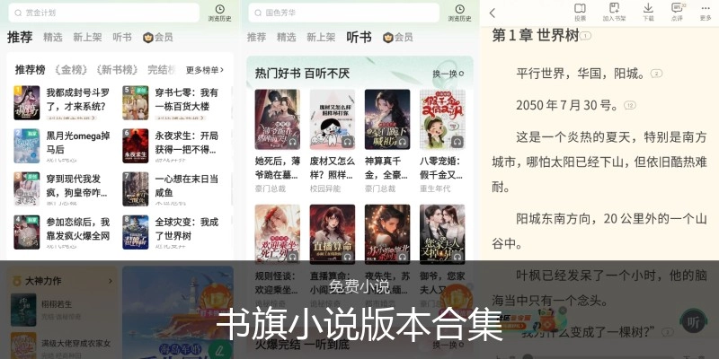 书旗小说版本合集