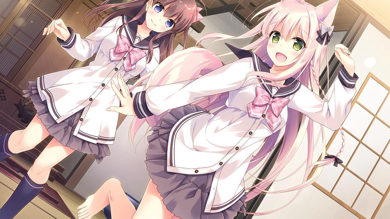 兽娘育成方案4