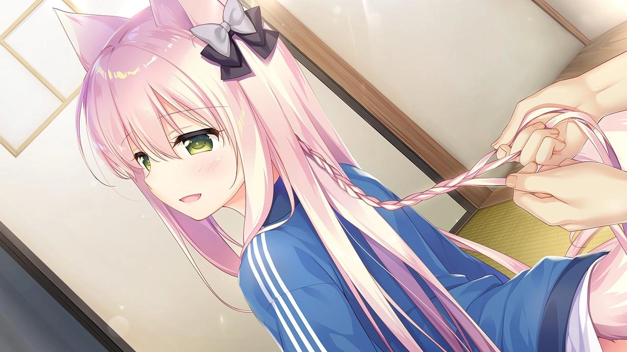 兽娘育成方案2