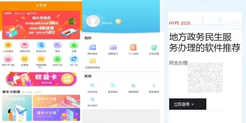 地方政务民生服务办理的软件推荐