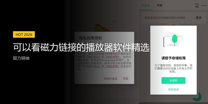 可以看磁力链接的播放器软件精选