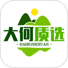 大何质选