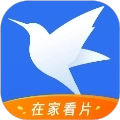 迅雷免费版