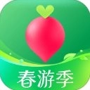 叮咚买菜