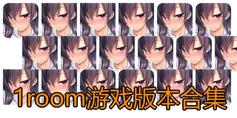1room游戏版本合集