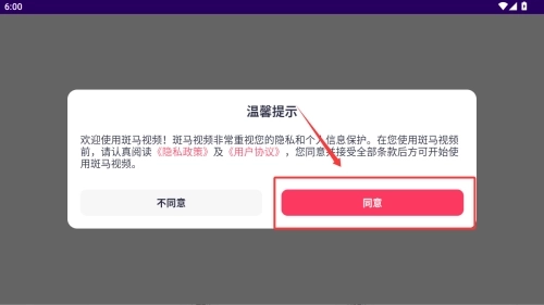 斑马视频最新下载