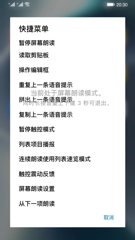 屏幕朗读安装3