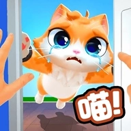 猫咪养成计划游戏