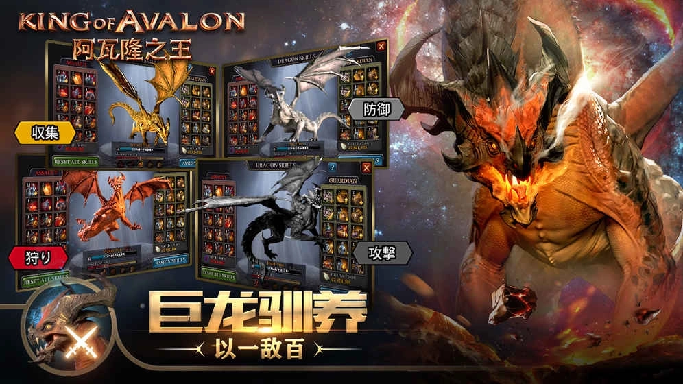 阿瓦隆之王