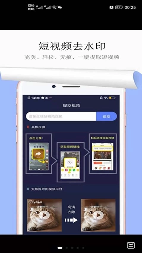 视频去水印
