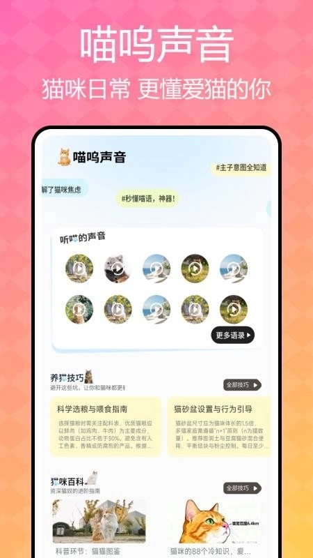猫咪语言翻译器