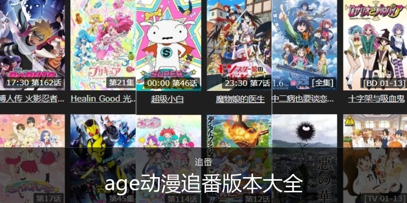 age动漫追番版本大全
