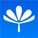 朵扬流量中心