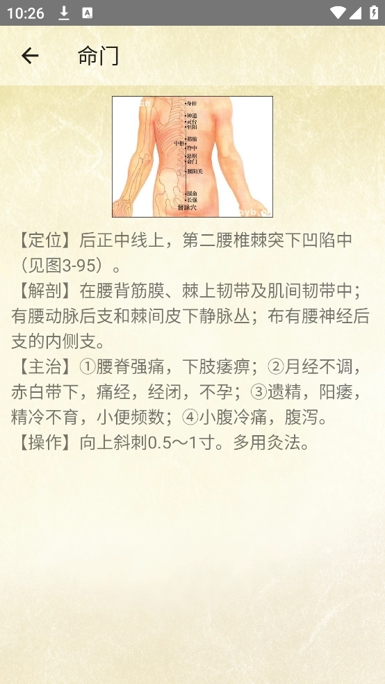 穴位按摩宝典