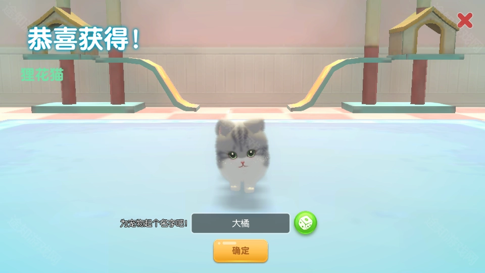 养了个猫最新版安装包下载