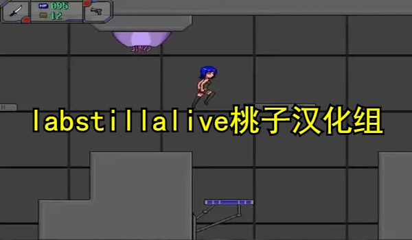 labstillalive桃子汉化组类型游戏大全