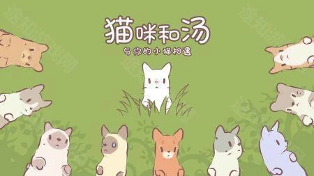 猫咪和汤国际版安卓下载