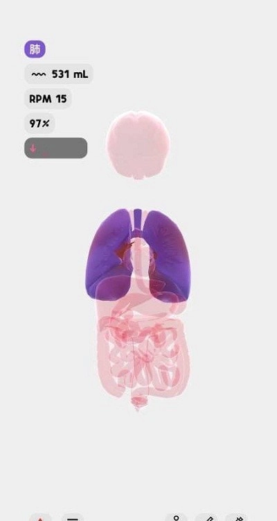 生命模拟器life最新版安装包下载