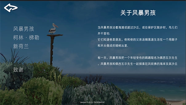 男孩与鹈鹕游戏下载