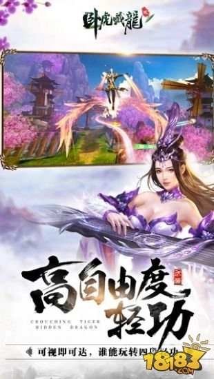 卧虎藏龙贰
