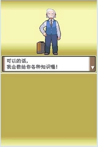 口袋妖怪白金2