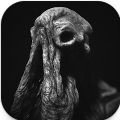 SARCOPH中文版