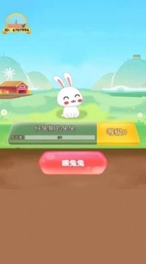 饲养小白兔
