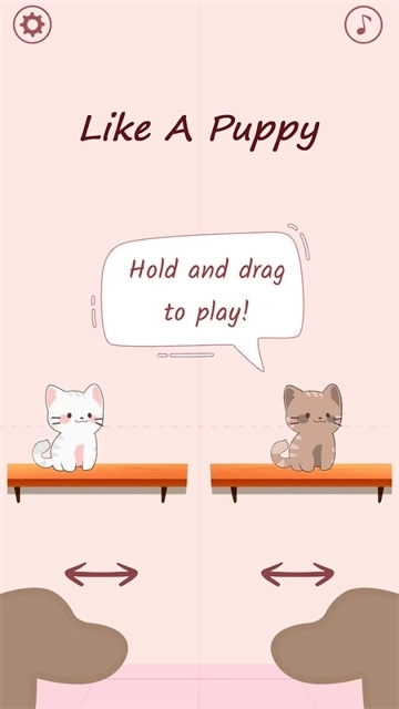 duetcats4