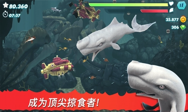 饥饿大白鲨手机下载