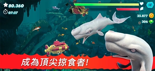 饥饿鲨进化正版4