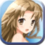 御姬之翼