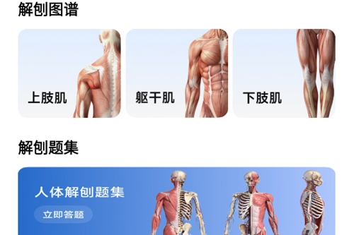 人体解剖图集免费版安装下载