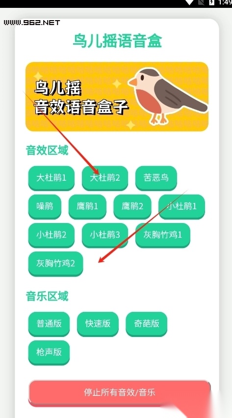 鸟儿摇语音盒