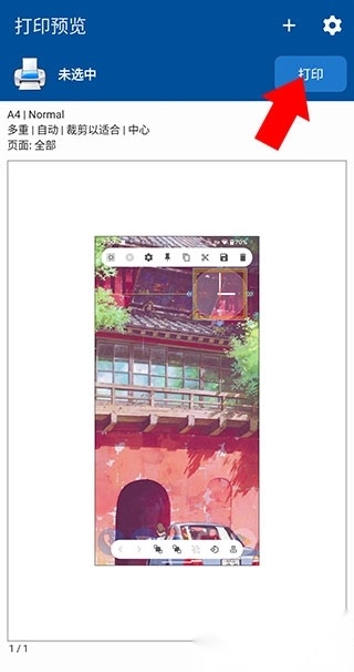 nokoprint中文版