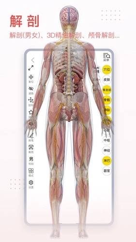 3Dbody艺用app下载