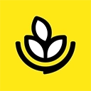 燕麦烘焙