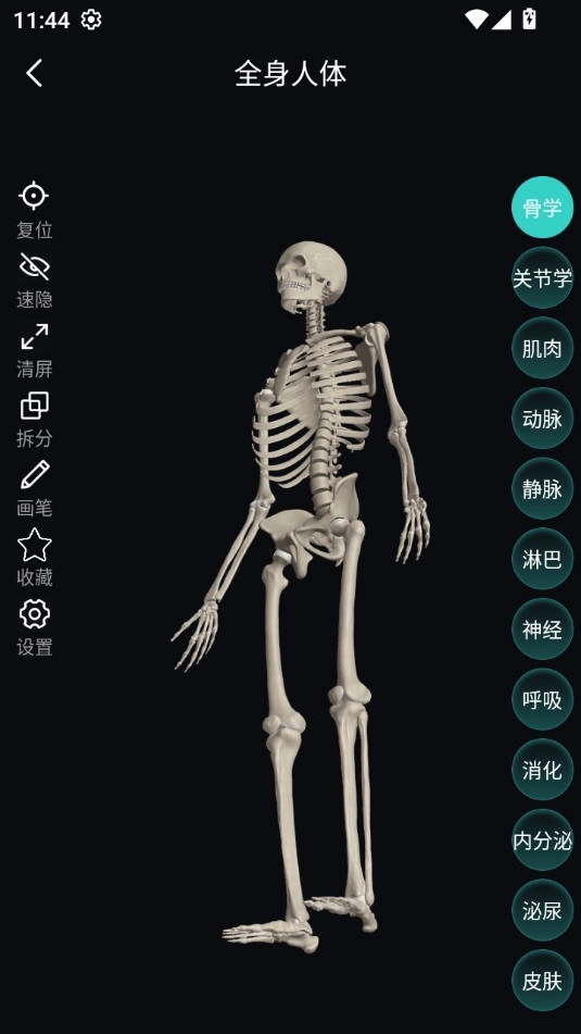 掌上3d剖解安卓版4