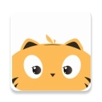 龙猫设计