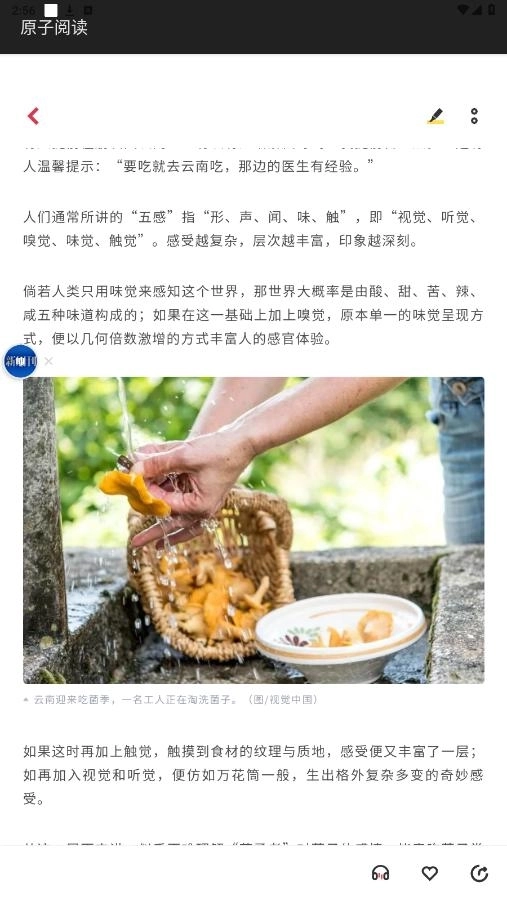 原子阅读4