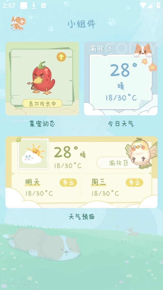 菜宠天气4